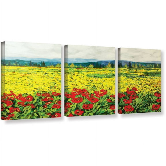 ArtWall Allan Friedlander "Zone De Fleurs" 3-Piece Gallery-wrapped Canvas Set