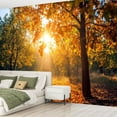 thumbnail image 2 of Peel and Stick Wallpaper Waterproof Sunny autumn scenery park sun rays light mist golden trees Wall Mural Decor Self Adhesive and Removable 69in x 98in, 2 of 8