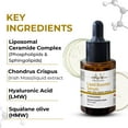 thumbnail image 2 of Lipid Booster Face Serum 30 ml | All Skin type, 2 of 6