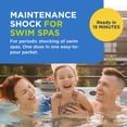thumbnail image 2 of FROG Maintain for Swim Spas - Non-Chlorine Shock for use with Swim Spa FROG @Ease Floating System - Single Dose Packets for Easy Swim Spa Maintenance & Treatment - 6 Pack, 2 of 8