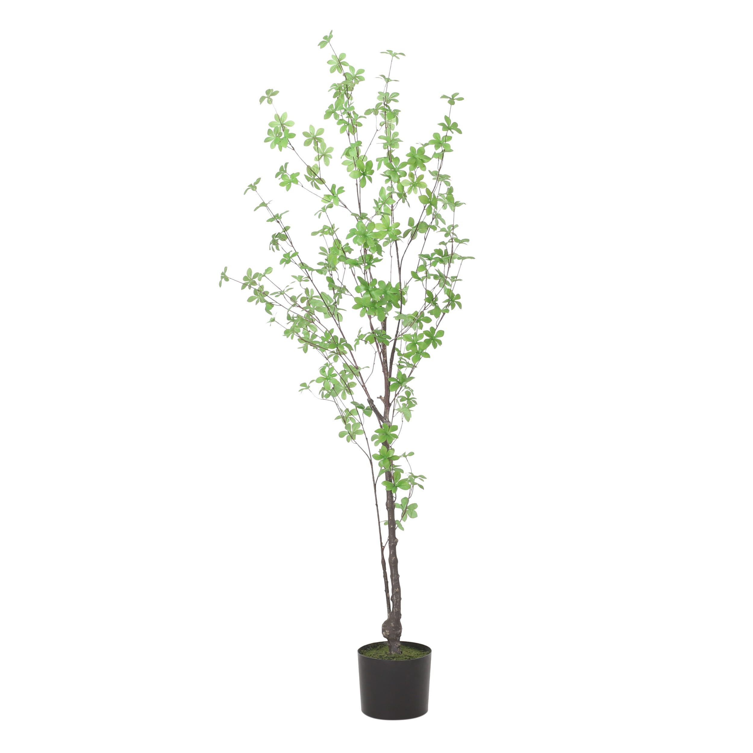 Noble House Coles 4' x 2.5' Artificial Enkianthus Tree, Green