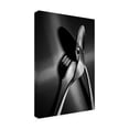 thumbnail image 3 of Trademark Fine Art Emel Sefer Intersection Canvas Wall Art, 3 of 4