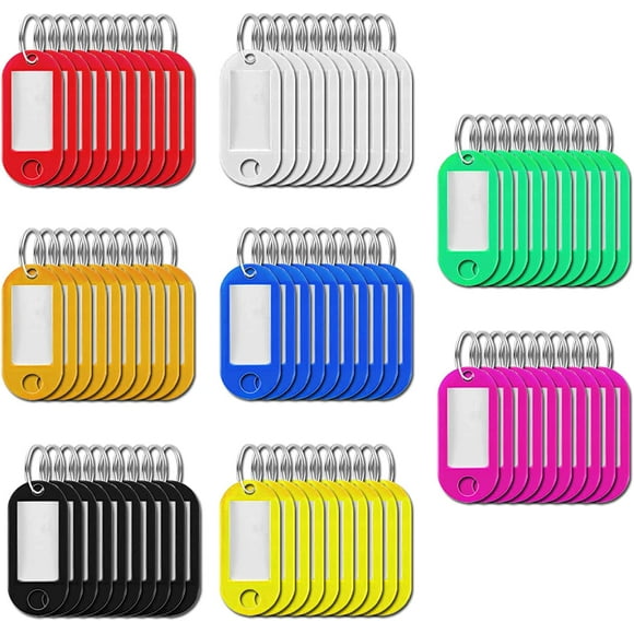 Flunyina Key Tags with Split Ring Label Window 80Pcs Key Labels with Ring and Label Window, Key Chain ID Tags,