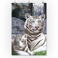 thumbnail image 2 of White Tigers (24x36 Giclee Gallery Art Print, Vivid Textured Wall Decor), 2 of 3