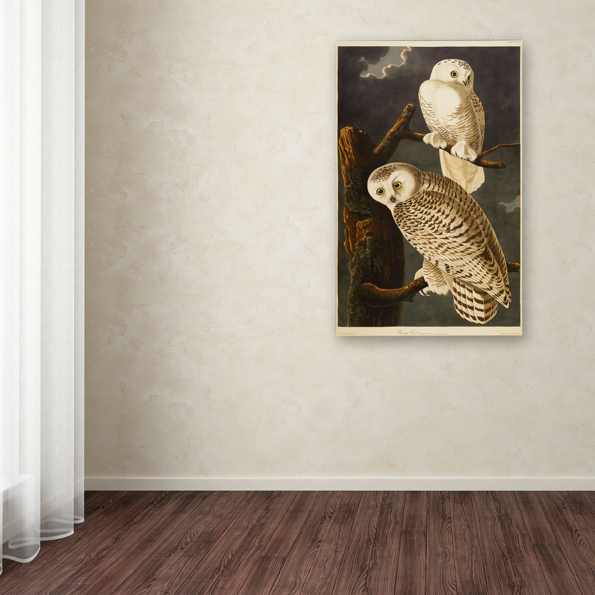 Trademark Fine Art John James Audubon Snowy Owl Canvas Wall Art - 30x47
