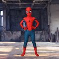 thumbnail image 3 of Spider Man Sth Suit Btafrte Ropa XL verde, 3 of 9