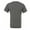 Heather Autumn, variant on Bella + Canvas Adults  Heather CVC T-Shirt