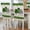 Multicolor, variant on St. Patrick's Day Chair Back Covers, Removable Chair Covers for Dining Chairs Set of 6, Washable Chairs Slipcovers Back Seat Protector for Wedding Party 19"x20"
