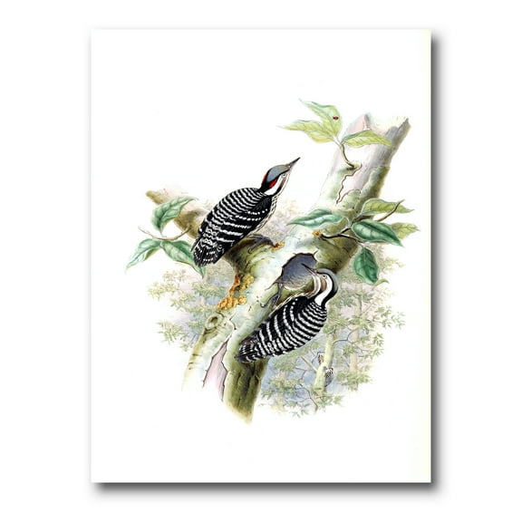 Designart ' Ancient Birds In The Wild V ' Traditional Canvas Wall Art Print