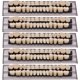 thumbnail image 1 of Prótesis dental: dientes de resina sintética, 140 unidades, color MIBICIRI A2, 1 of 6