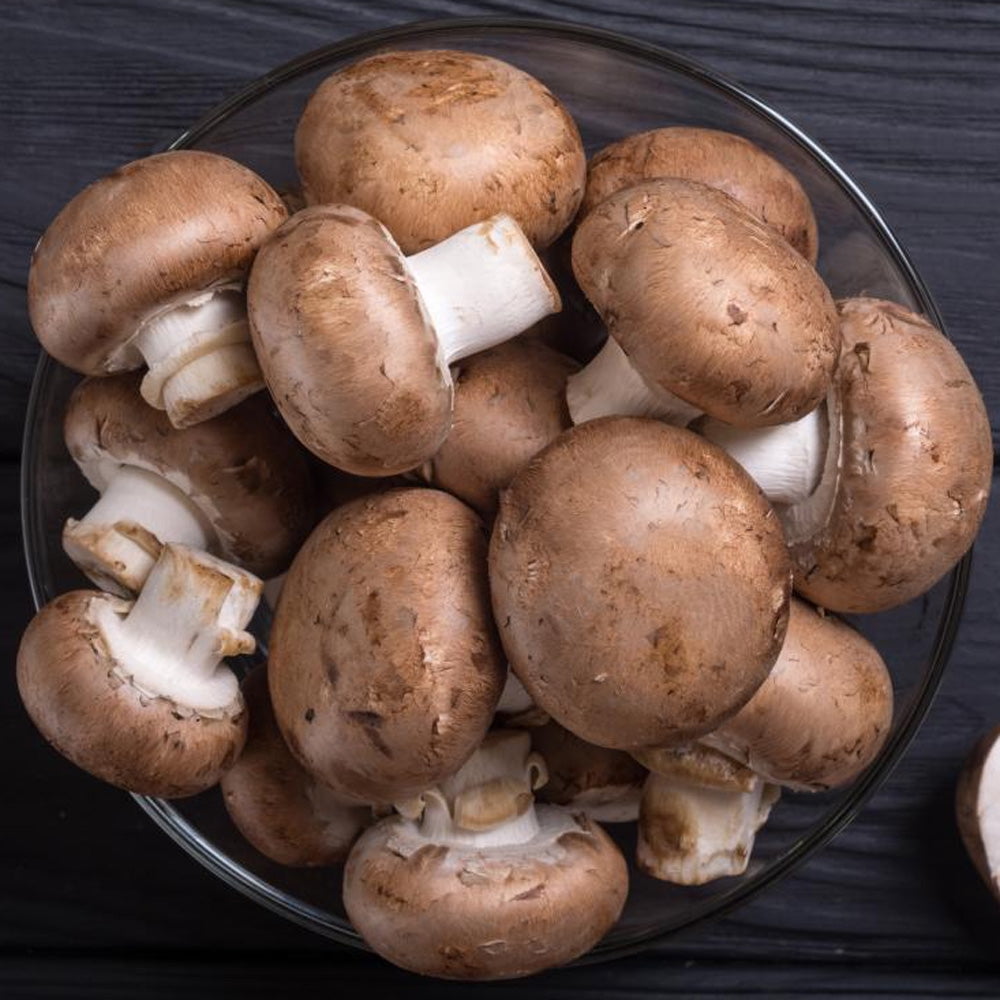 Portobello Mushroom Liquid Culture Syringe