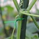 thumbnail image 2 of 100m Garden Ties For Plants, Plastic Plant Organizer Clerk Graft Tie Wire For Gardening, Multipurpose Metal Cable Ties (green), 2 of 5