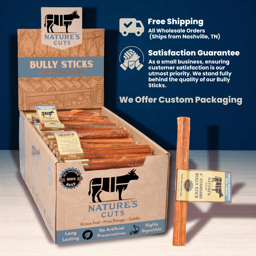 6" Standard Bully Sticks Display Box (100 ct) with Individual UPC Tags - 100% All Natural Beef