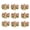 A#, variant on 12PCS Mini Bows with Bells, Tiny Christmas Bows Small Bowknot Ornament for Crafts Wreath Christmas Tree Decoration