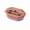 Pink, variant on Bento Box, Lunch Container, Double Layer Compartment, Portable Heatable Food Storage, Stylish Oval Design, Food Safe Plastic, Easy to Clean, Lightweight, 26.5x24.5x8cm
