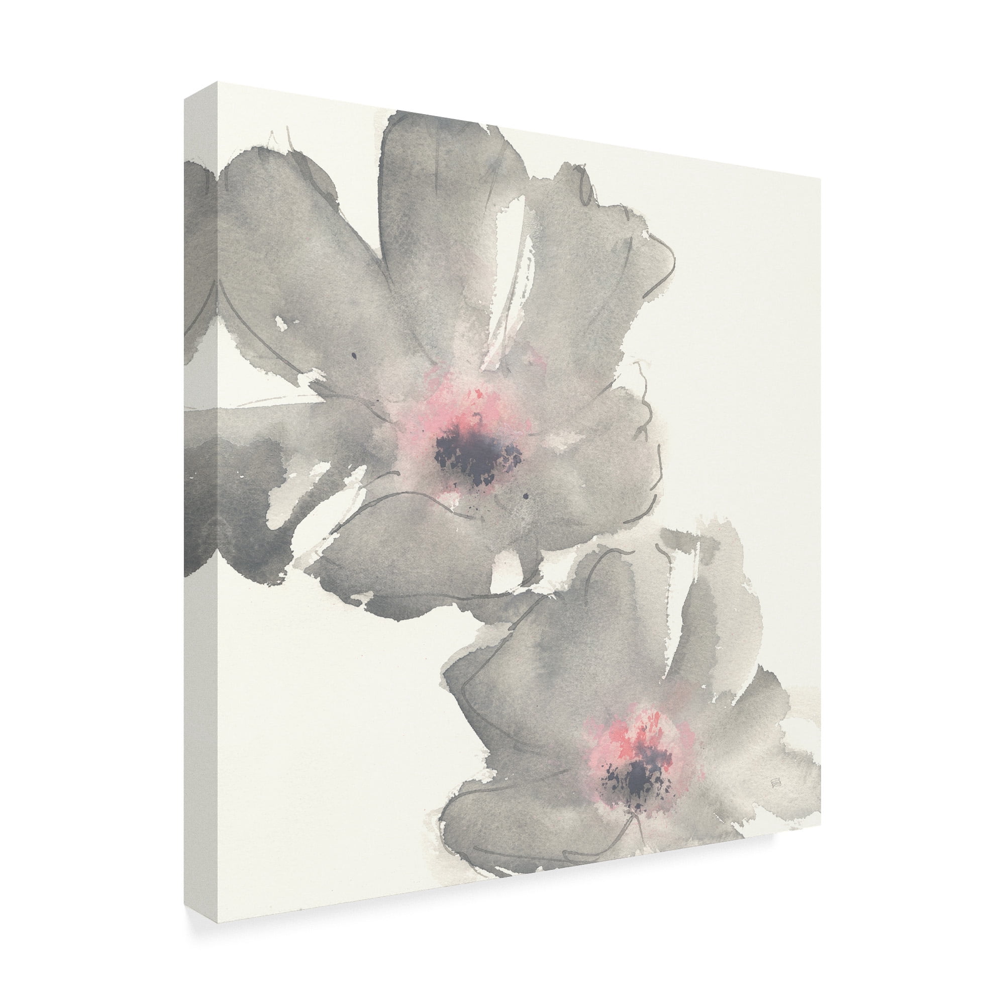 Trademark Fine Art 'Gray Blush Cosmos I on White' Canvas Art by Chris Paschke
