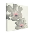 thumbnail image 2 of Trademark Fine Art 'Gray Blush Cosmos I on White' Canvas Art by Chris Paschke, 2 of 3