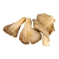 thumbnail image 3 of Setas Marketside 250 g, 3 of 4