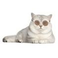 thumbnail image 3 of Qonioi Pet Sunglasses for Dogs Cats, Fashion Round Frame Retro Glasses, Pet Photo Accessory, Doll Toy Sunglasses, 3 of 6