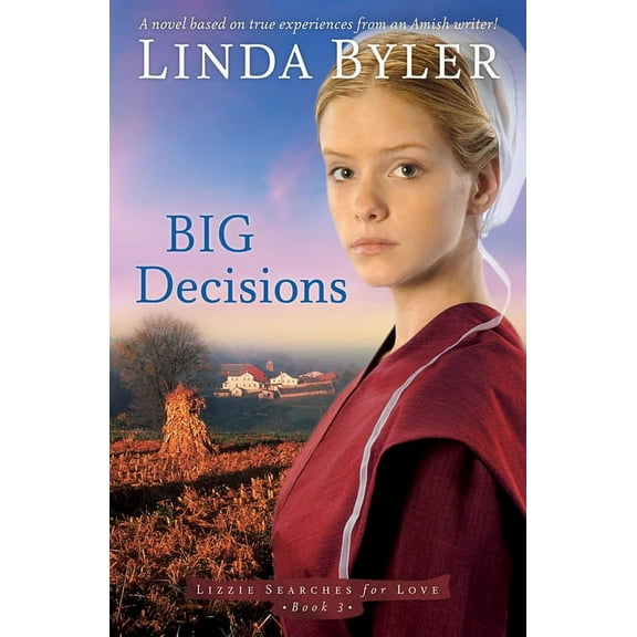 Big Decisions : A Novel Based On True Experiences From An Amish Writer! (Paperback)