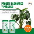 thumbnail image 3 of Limpiador de Plantas (60 Unidades) | Toallitas Humedas | Protecci&oacute;n y Brillo Natural con Aceites y Extracto de Toronja | Abrillantador de Plantas Biodegradables Para Lucir Flores | WAIPY, 3 of 7