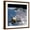 Brown Frame, variant on Art.com Artwork of the Next Generation NASA Spacecraft, the Orion Crew Exploration Vehicle Photo, 16" x 16"