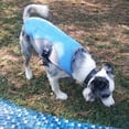 thumbnail image 4 of Chaleco De Refrigeración Para Perros De Verano, Ropa Para Mascotas, Arnés De Refrigeración Para Perros, Chaleco Reflectante Ajustable matsuzay PT002316-05, 4 of 6
