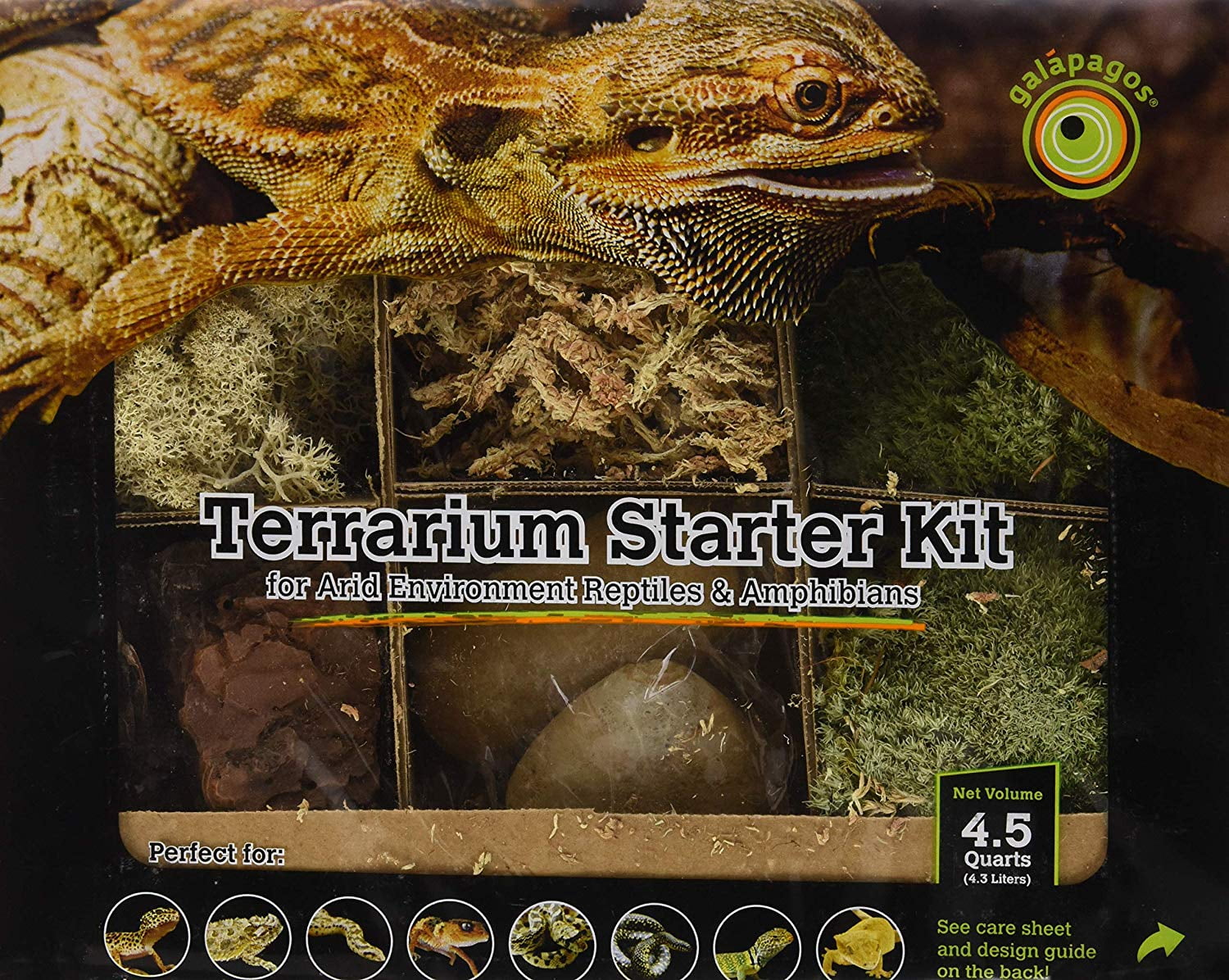 Terrarium Deco Starter Kit for Dry Environment, Starter Kit By