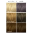 thumbnail image 4 of Arctic Fox Semi-Permanent Hair Color - Sterling  4oz, 4 of 7