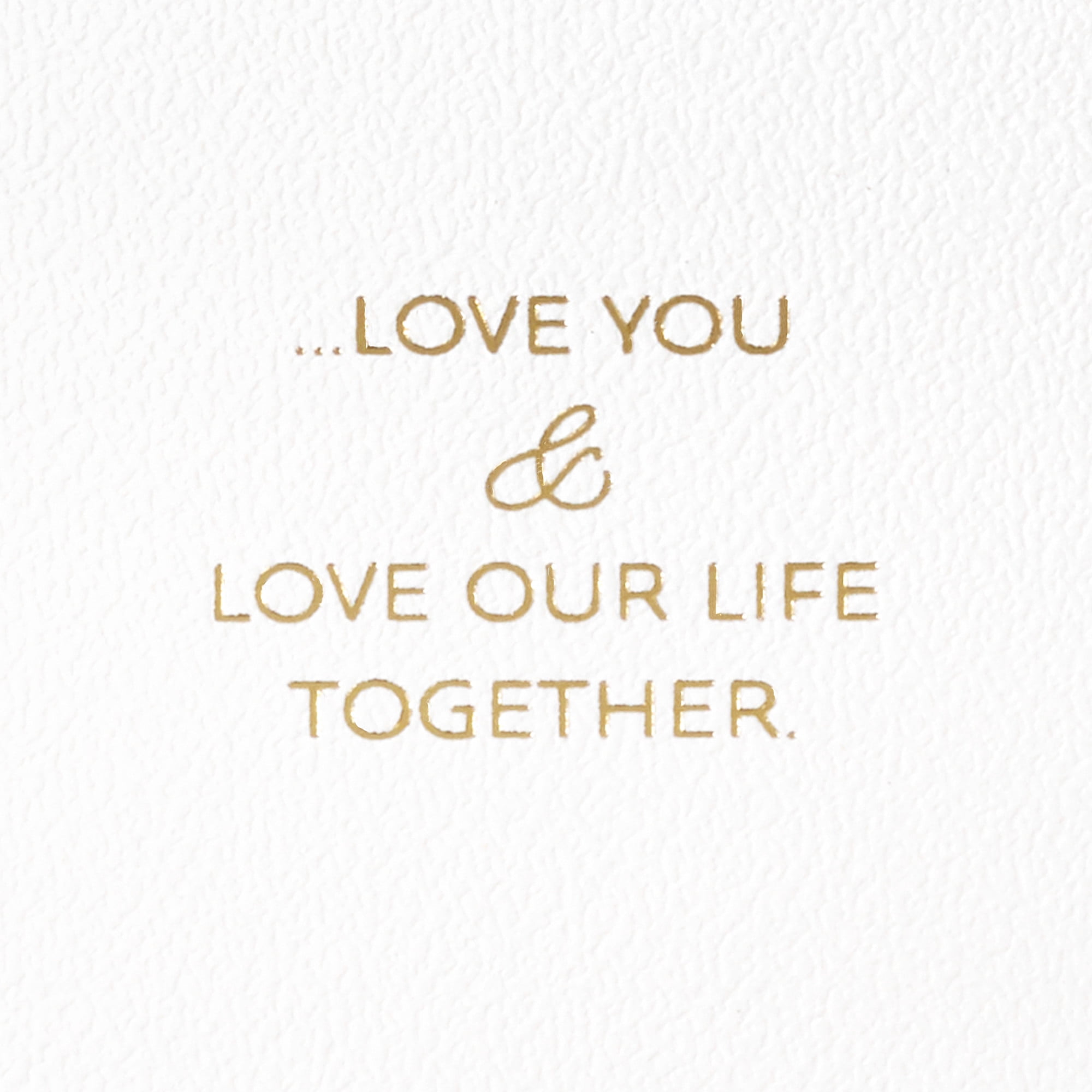 Hallmark Signature Anniversary Card (Love Our Life Together)