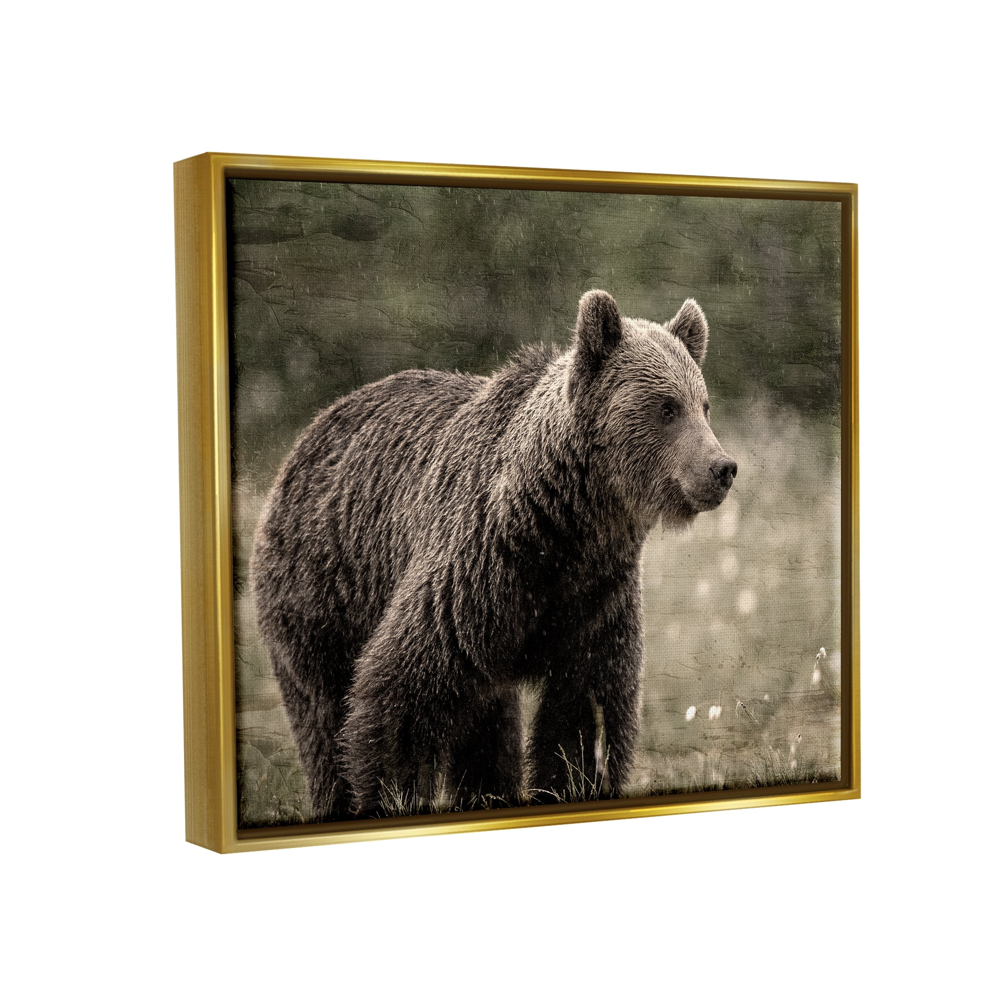 Stupell Industries Brown Bear Wildlife Animals & Insects Painting Gold Floater Framed Canvas Art Print Wall Art, 21 x 17