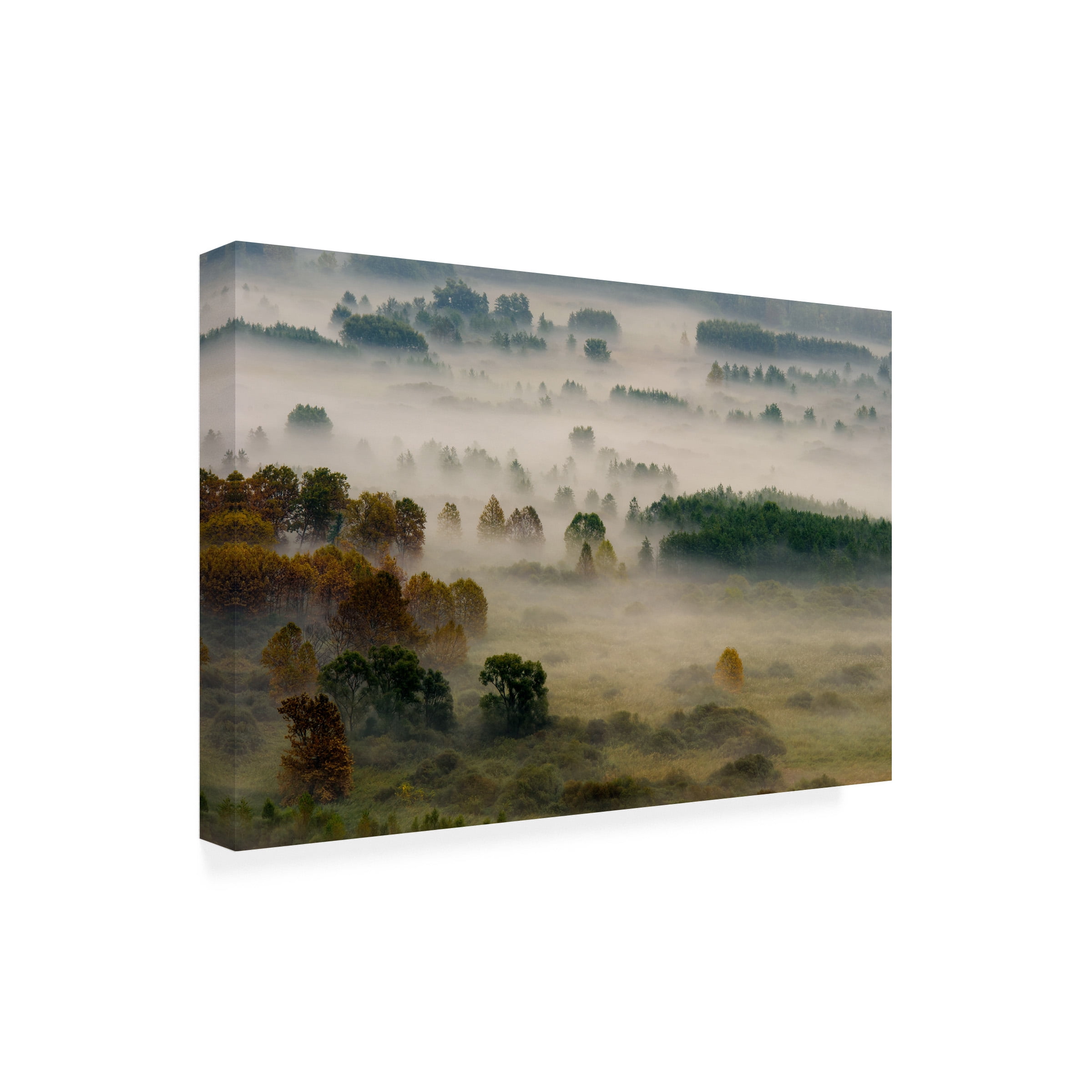 Roberto Marini 'Autumn Dream' Canvas Art