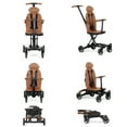 Evolur Cruise Rider Stroller, Coginac