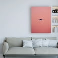 thumbnail image 3 of Trademark Fine Art 'Pink Flight Fabrikken' Canvas Art by Design Fabrikken, 3 of 3