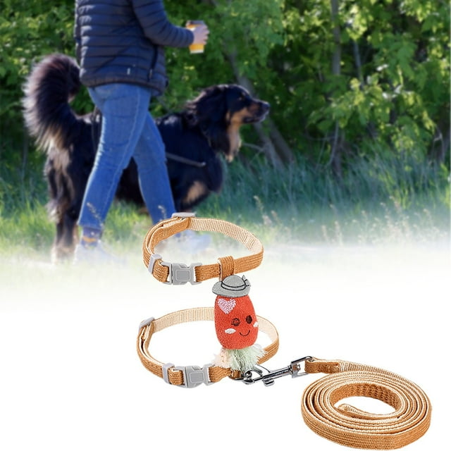 Sangles de Poitrine Réglables pour Chats et Chiens Design en Cuir Durable pour la Marche et l'Entraînement Matériau Polyester Confortable Adapté aux Activités Intérieures et Extérieures