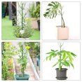 thumbnail image 2 of 5 Sets of Garden Plant Climbing Rack Simulated Tree Branch Shaped Plant Rack Outdoor Garden Plant Pole, 2 of 9