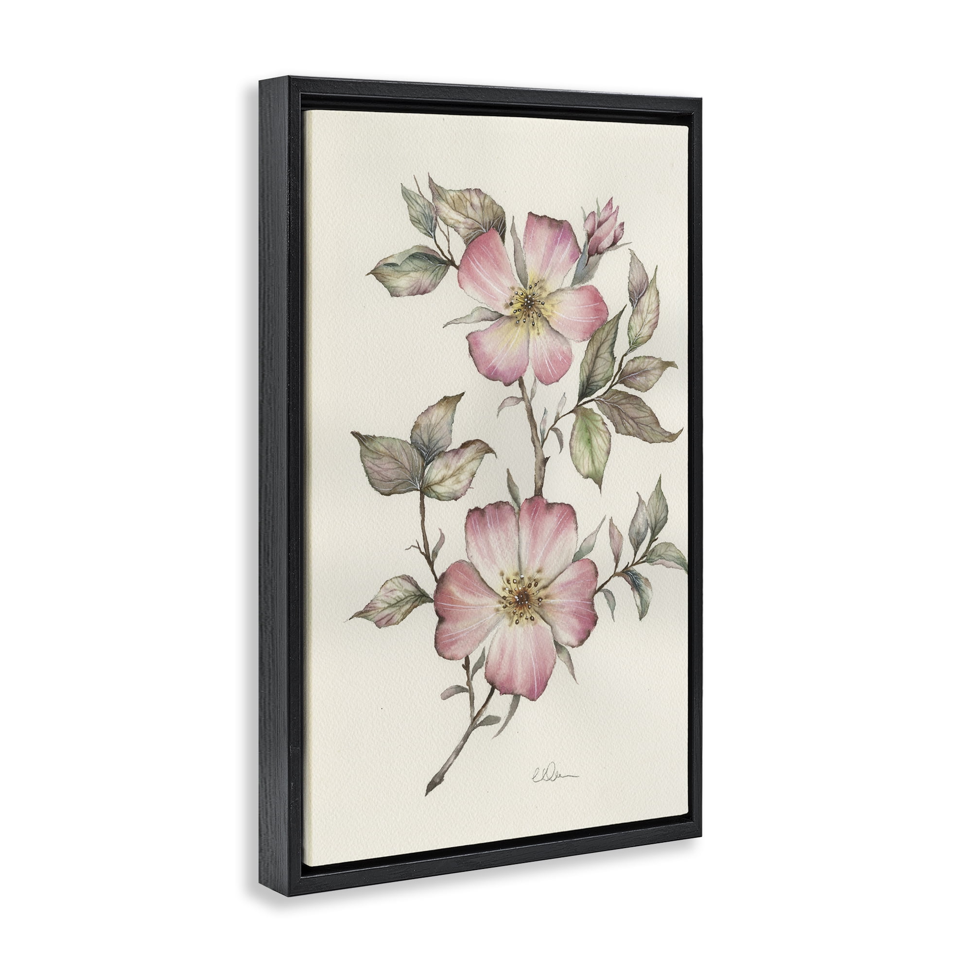 Stupell Industries Two Flowers Natural Study Black Framed Floater Canvas Wall Art, design by Cady Driver