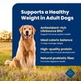 thumbnail image 5 of Blue Buffalo Life Protection Formula Healthy Weight Adult Dry Dog Food Chicken 5lb Bag, 5 of 13