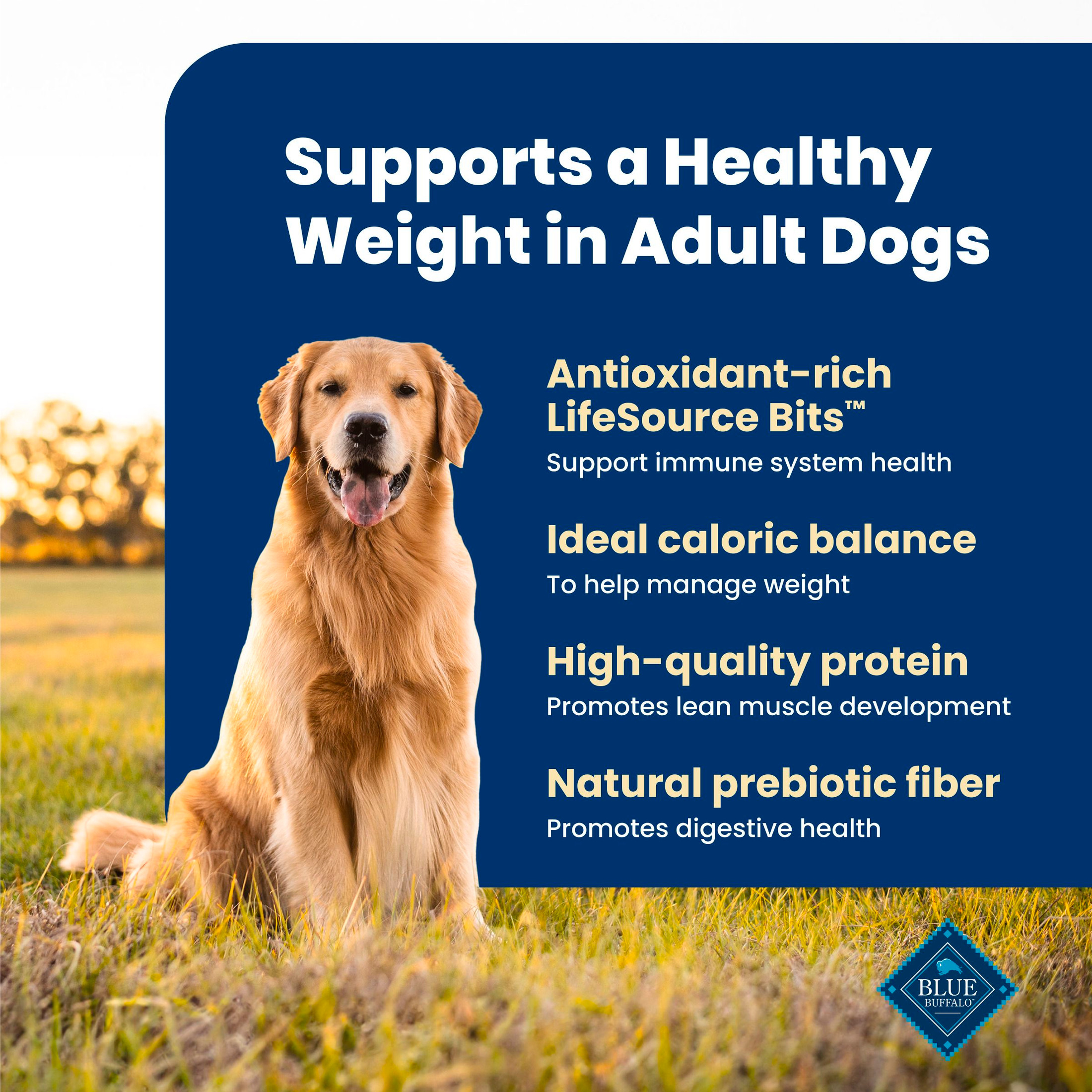 Blue Buffalo Life Protection Healthy Weight Chicken Dog Food photo 4