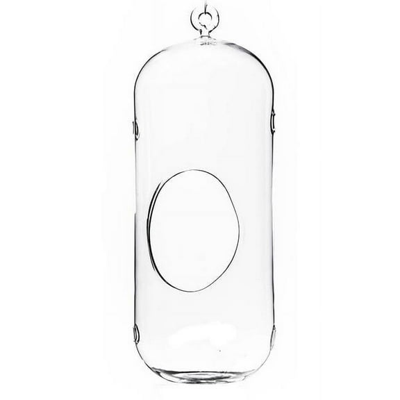 13 x 5 in. Clear Cylindrical Hanging Glass Terrarium & Candle Holder