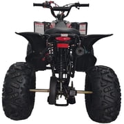 HHH Sports ATV 125cc ATV Platinum ATV CT 125-C is Fully Automatic Vitacci 125cc ATV with Reverse and Strong Tires and Matching Rims (Blue Color)