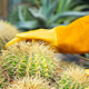 thumbnail image 4 of Guantes de cuero para jardinería con protección para el antebrazo, guantes largos resistentes a las espinas para recortar rosas MFZFUKR CPB-US-DYP637-4, 4 of 5
