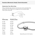 thumbnail image 6 of Pandora Moments Silver Charm Bracelet With Heart Clasp 590719-23, 6 of 13