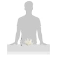 thumbnail image 2 of White Finger Coral Decoration, 2 of 2