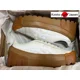 thumbnail image 3 of Onitsuka Tiger DELEGATION CHUNK ( CREAM/WHITE ) 1183A585.104 [Unisex] Authentic, 3 of 6