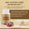 thumbnail image 5 of SehatiKu Nitric Oxide Supplement 2255 MG, Nitric Oxide Booster & 6-in-1 Phytonutrient Blend for Heart, Circulation, Immune - 90 Capsules (1 Bottle), 5 of 5