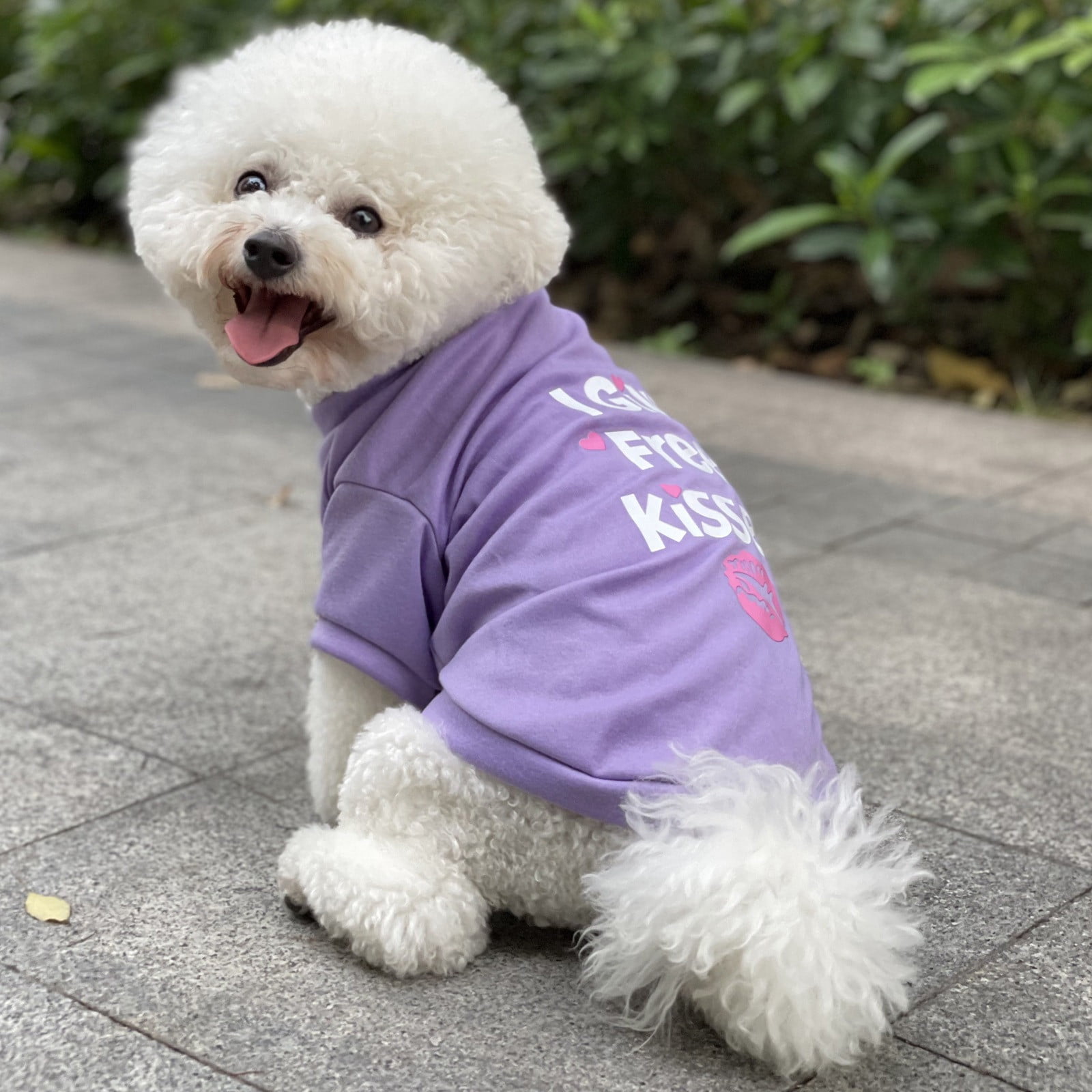 Summer Dogs Clothes Pet T Shirt Letter Dog Print T Shirts Soft Shirts  Sleeveless Apparel Pet Clothes For Small Medium Dog - Pet Supplies - Temu