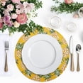 thumbnail image 4 of Ryvnso Fruit Pineapple Round Plate Mats Dining Table Placemat Set of 4 for Holiday Decoration, 4 of 7