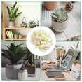 thumbnail image 5 of Uxcell Artificial Succulent Plants Unpotted Fake Succulents Simulation Plants White, 5 of 5