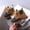 Z04-Fleece-Black, variant on Kids Girls Side Zipper Ankle Martin Boots, Waterproof PU Leather Lace Up Lock Decor Non-Slip Vintage Booties Shoes for Fall Winter White